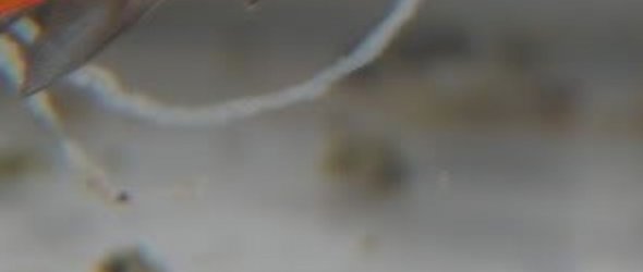 20190414_134608.jpg