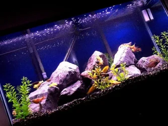 90gallon_march20.webp