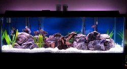 180gallon_march20_2.jpg