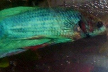 100_1022.JPG