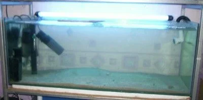 fulltank1.webp