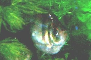 100_0710.JPG