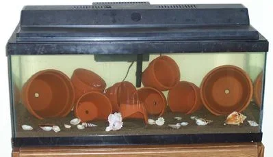 cichlid_tank_before2a.webp