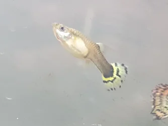 20190503_125407.webp