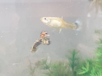 20190503_125232.jpg