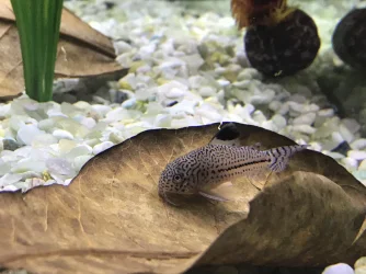 19AB0408-3C91-43FD-B21E-59B524022347.webp