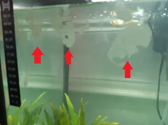 20190513_191354.webp