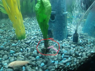 20190513_191417.webp