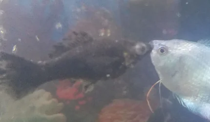 20190514_170635.webp
