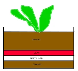 POT PLANT.webp