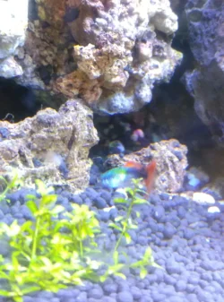 IMG-20190601-WA0000.webp