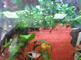20190520_145722 - Copy.webp