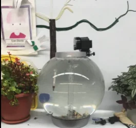 Biorb Aquarium Digital Fish Tank Feeder.webp