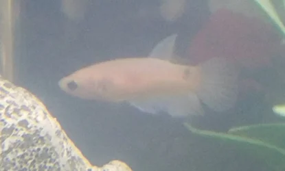 20190610_211458.webp