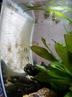 20190611_210916-1209x1612.webp