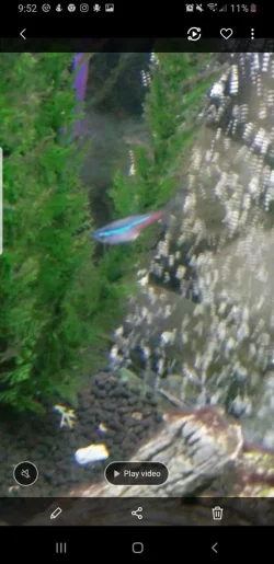 Screenshot_20190625-095257_Gallery.webp