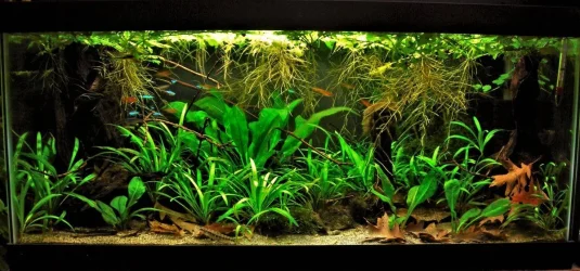 40g April 20-18 (2).webp
