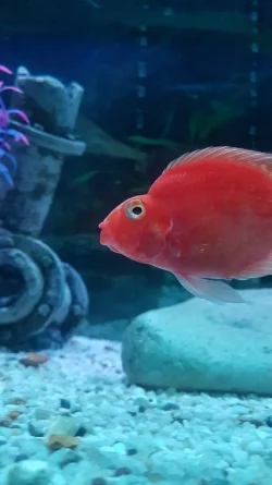 20190702_233810 (1).webp
