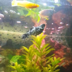 20190713_131858.webp
