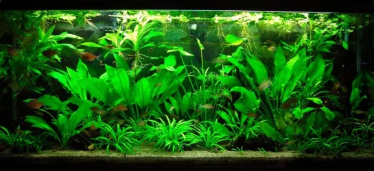 115g May 27-14.webp