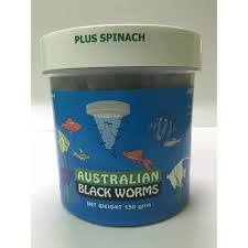 Australian Black Worms.jpg