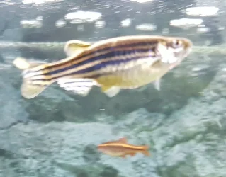 20190818_094153.webp
