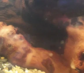 20190829_190957.webp