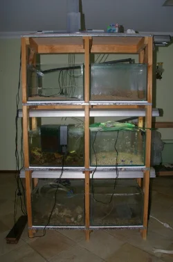 31july2010 0071.webp