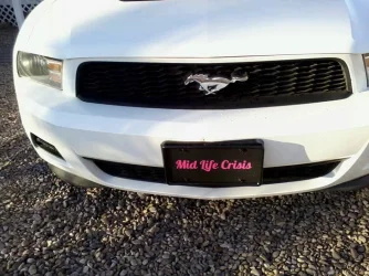 midlife crisis.webp