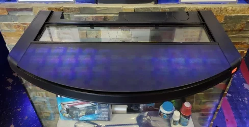 Fluval03.webp