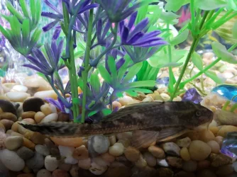 20190910_103126-2016x1512.webp