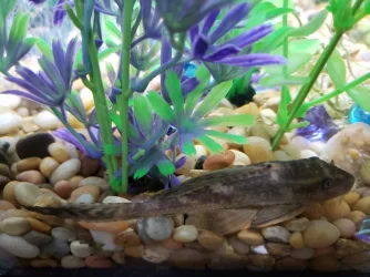 20190910_103134-1612x1209.webp