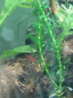 20190913_190729.webp