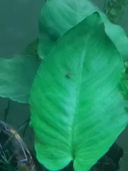 20190913_194621.webp