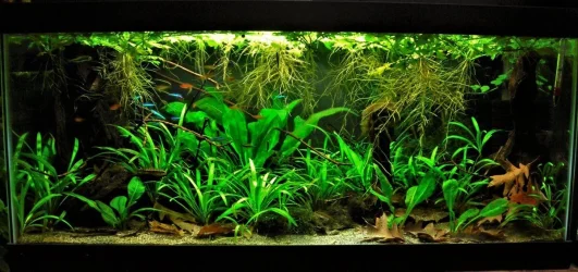 40g April 20-18 (1).webp