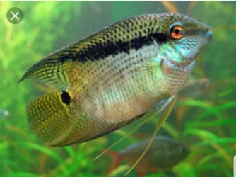 20190920_122153.webp 20190920_122153.webp