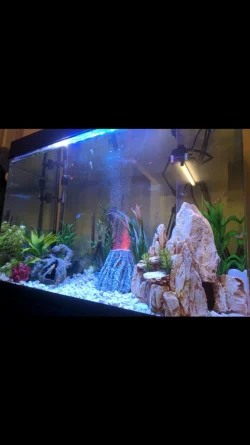 Screenshot_20190920-192311.webp