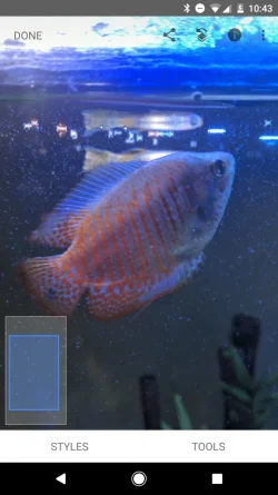 Screenshot_20190921-104305.webp