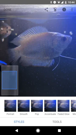 Screenshot_20190921-104429.webp