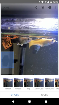 Screenshot_20190921-104546.webp