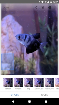 Screenshot_20190921-104752.webp