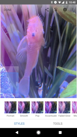 Screenshot_20190921-104900.webp