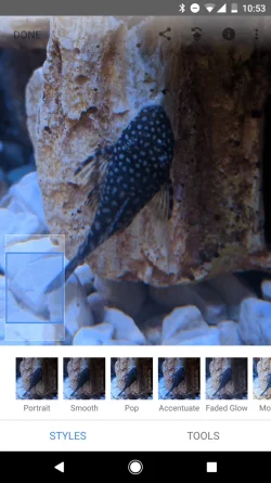 Screenshot_20190921-105328.webp