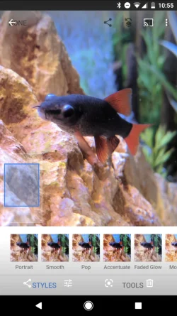 Screenshot_20190921-105534.webp