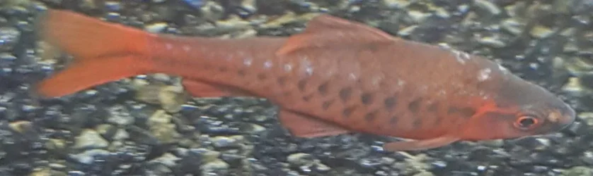 20190925_094944.webp