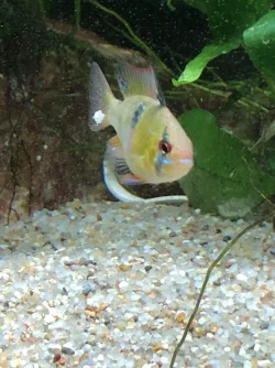 image.webp