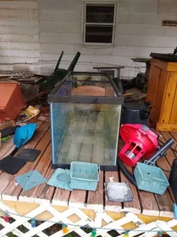 fishtank3.webp