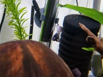 20191019_150809.webp