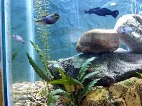 20191027_101546.webp