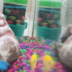 20191103_105530.webp
